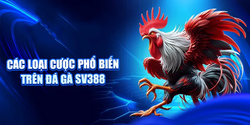 Các loại cược phổ biến trên đá gà SV388